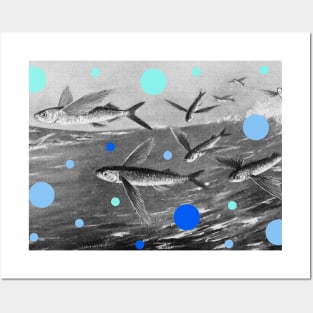 Flying fish over the ocean Posters and Art